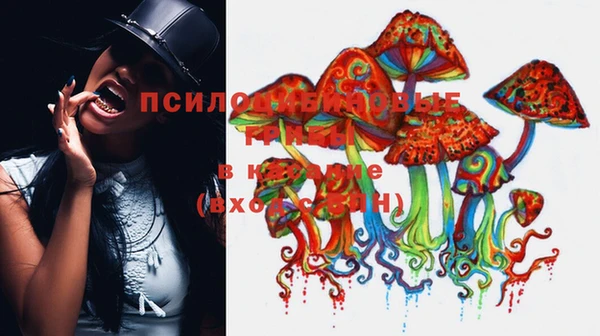 экстази Абаза