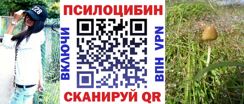 Галлюциногенные грибы GOLDEN TEACHER  купить закладку  Соликамск 