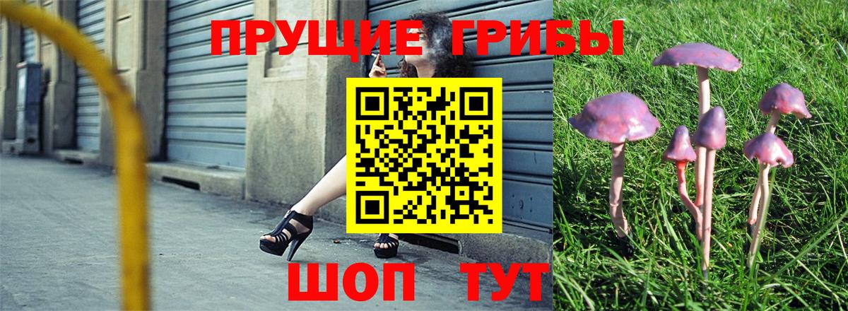 Галлюциногенные грибы мухоморы Соликамск